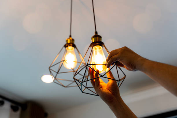 Best Electric Panel Repair  in Spencer, TN